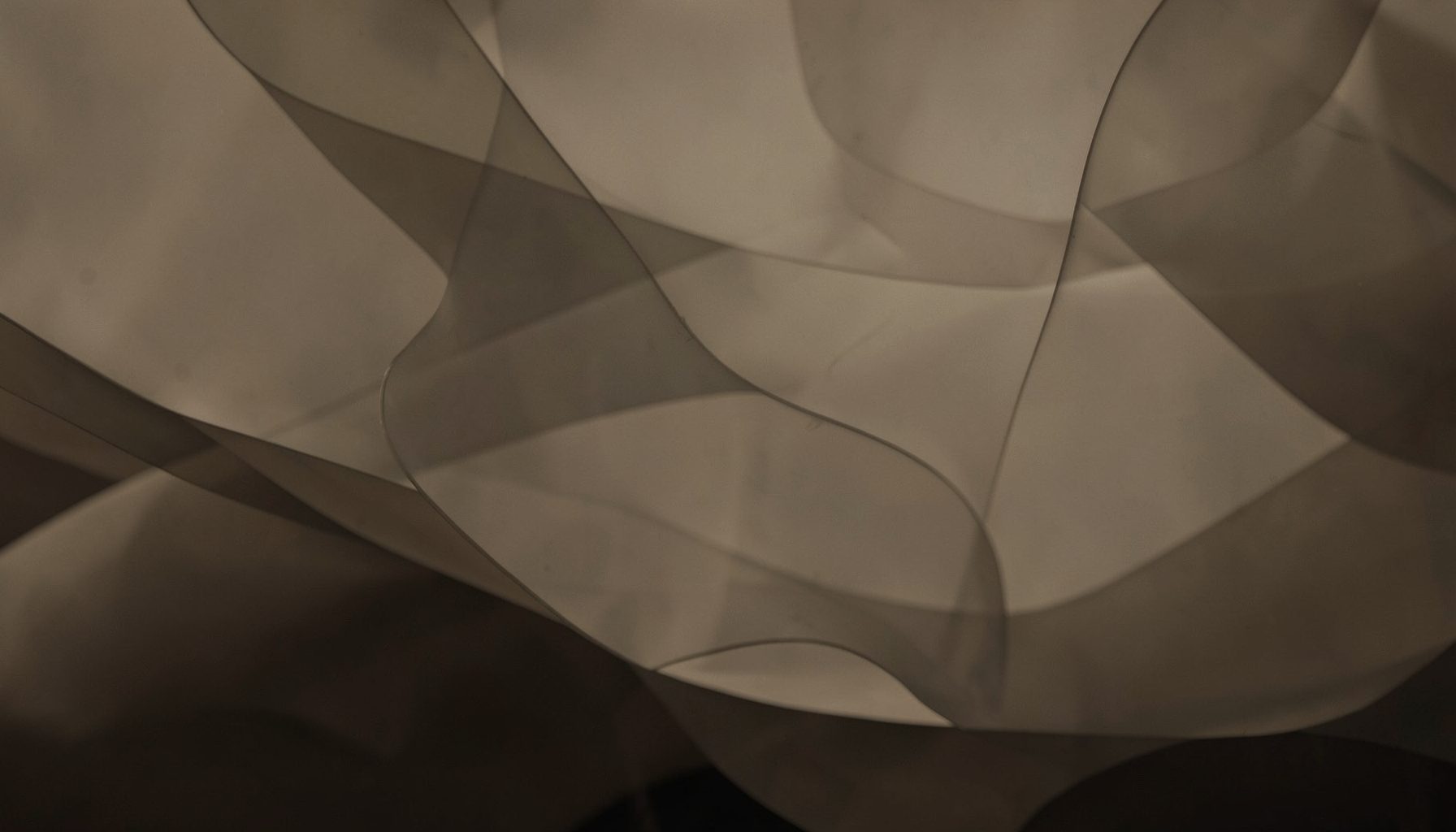 Muted sepia and charcoal tones in a contemplative piece with layered translucent forms